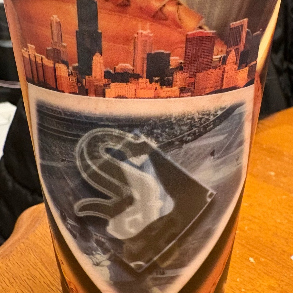 Chicago Skyline Tumbler